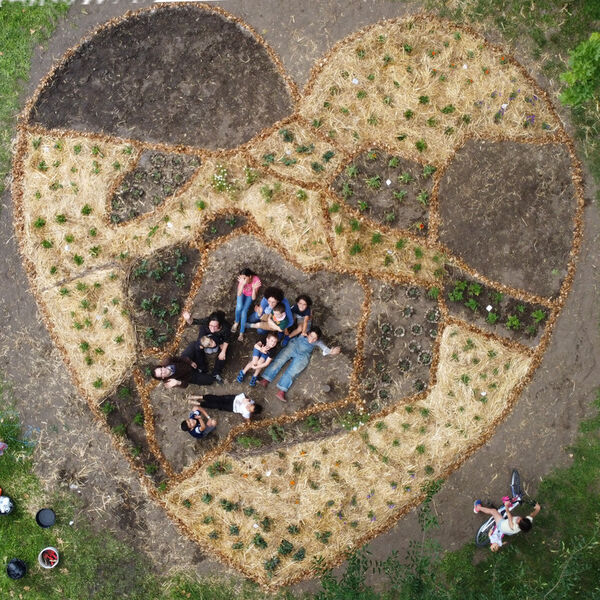 teambulding, land art, oeuvre participative, oeuvre collective, jardinage, permaculture, mandala, dessin vivant